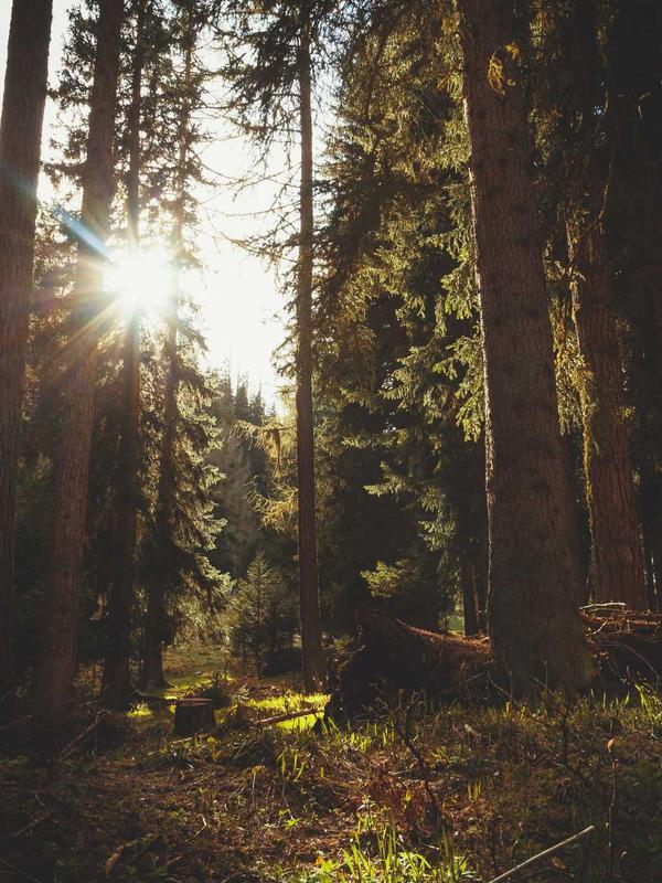 Bạn già thế kỷ