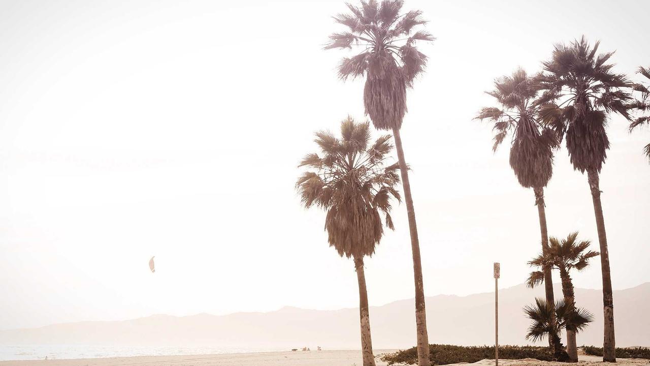 Phần 3: Đêm sương mù #1