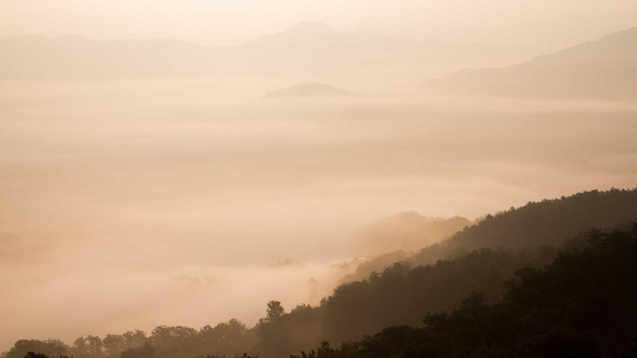 Phần 4: Bóng dáng quen thuộc #4