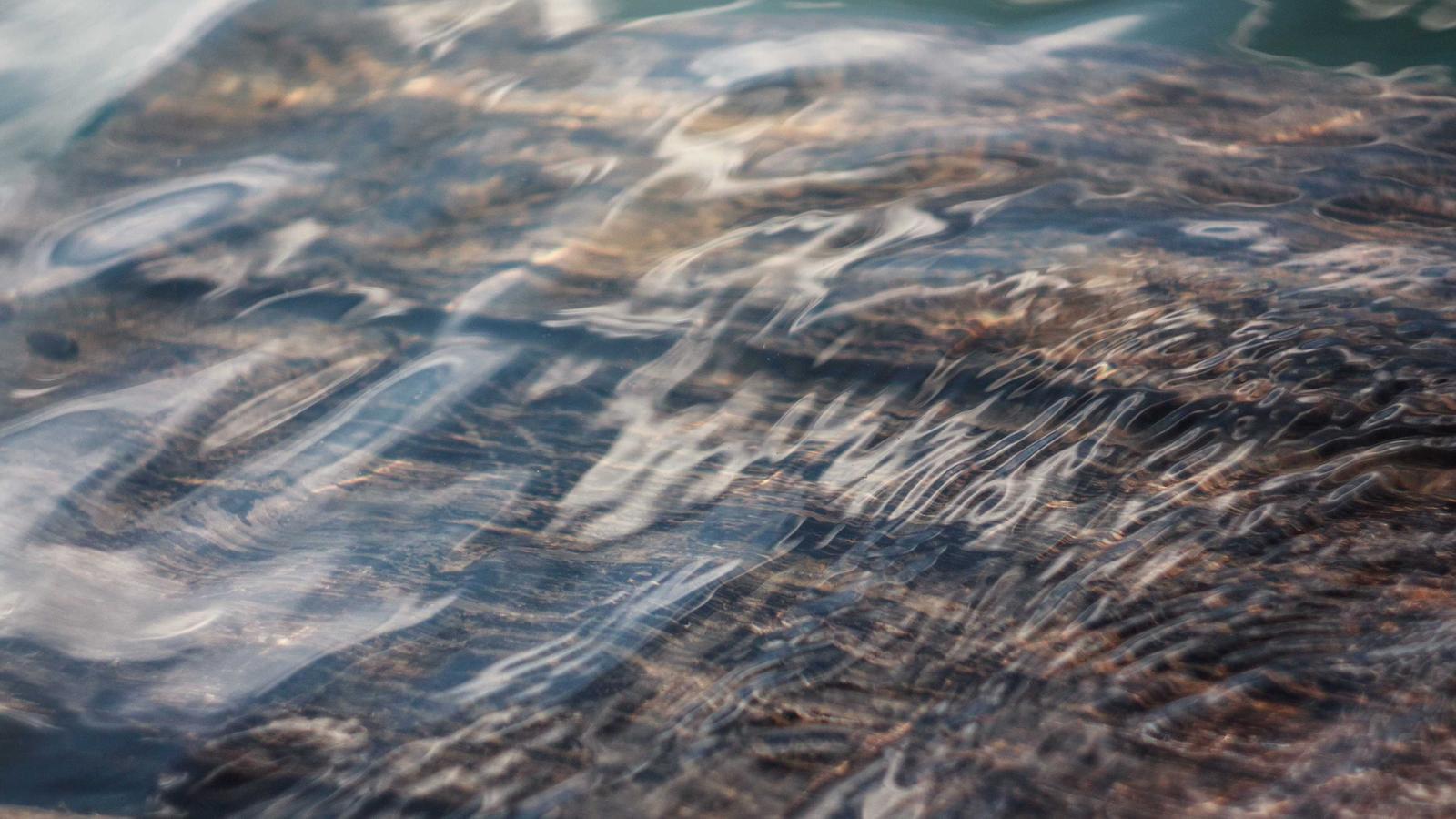 Thâm cung bí sử — Tập 2