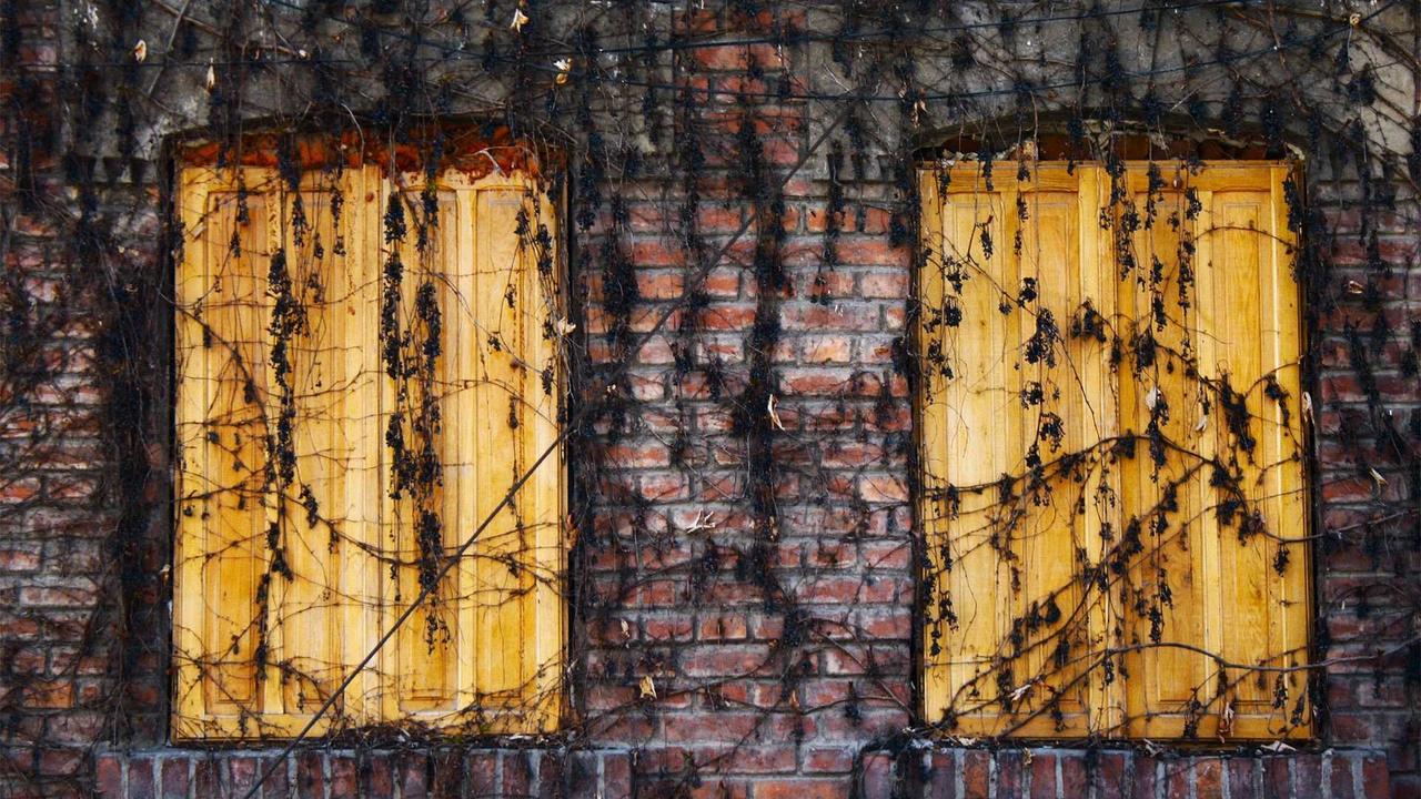 Phần 3: Đêm sương mù #1