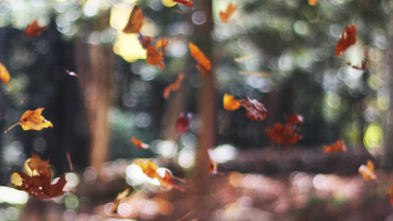 Phần 3: Đêm sương mù #3