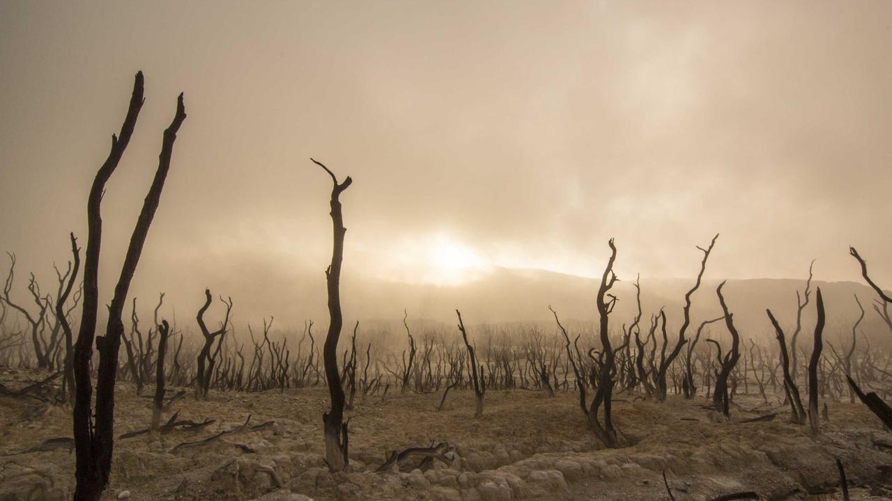 Phần 3: Đêm sương mù #4