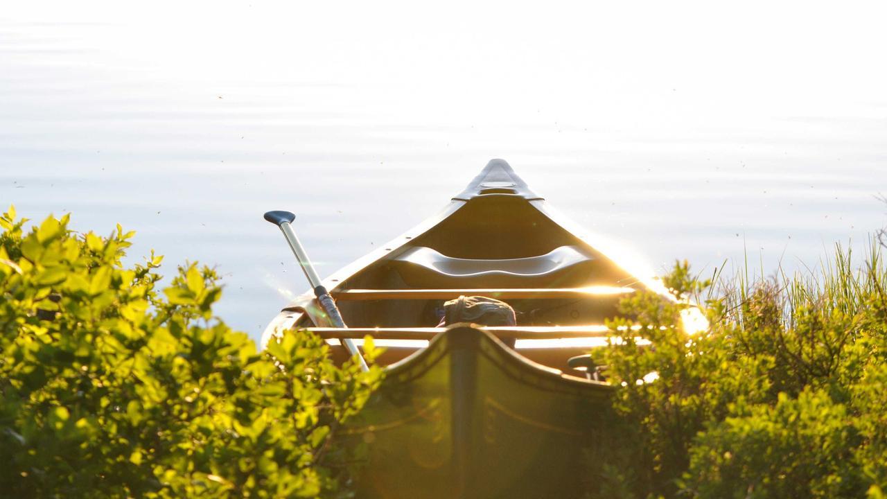 Phần 5: Lời thì thầm #2