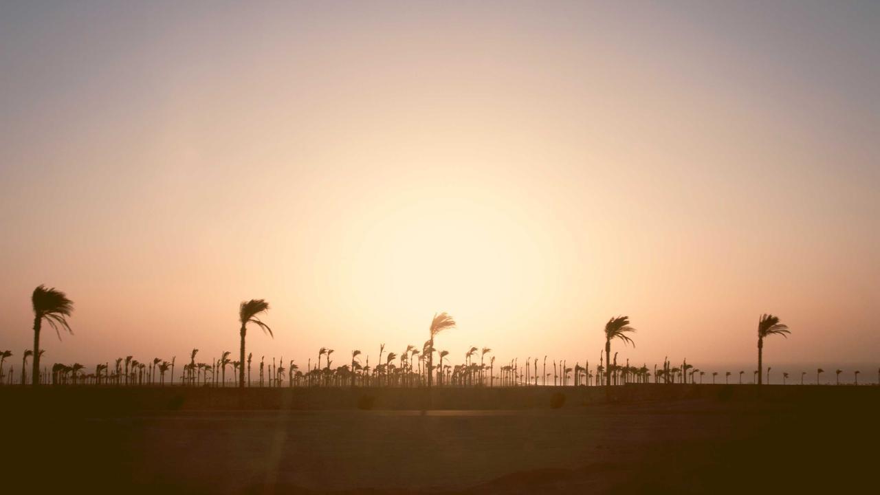 Phần 5: Lời thì thầm #5