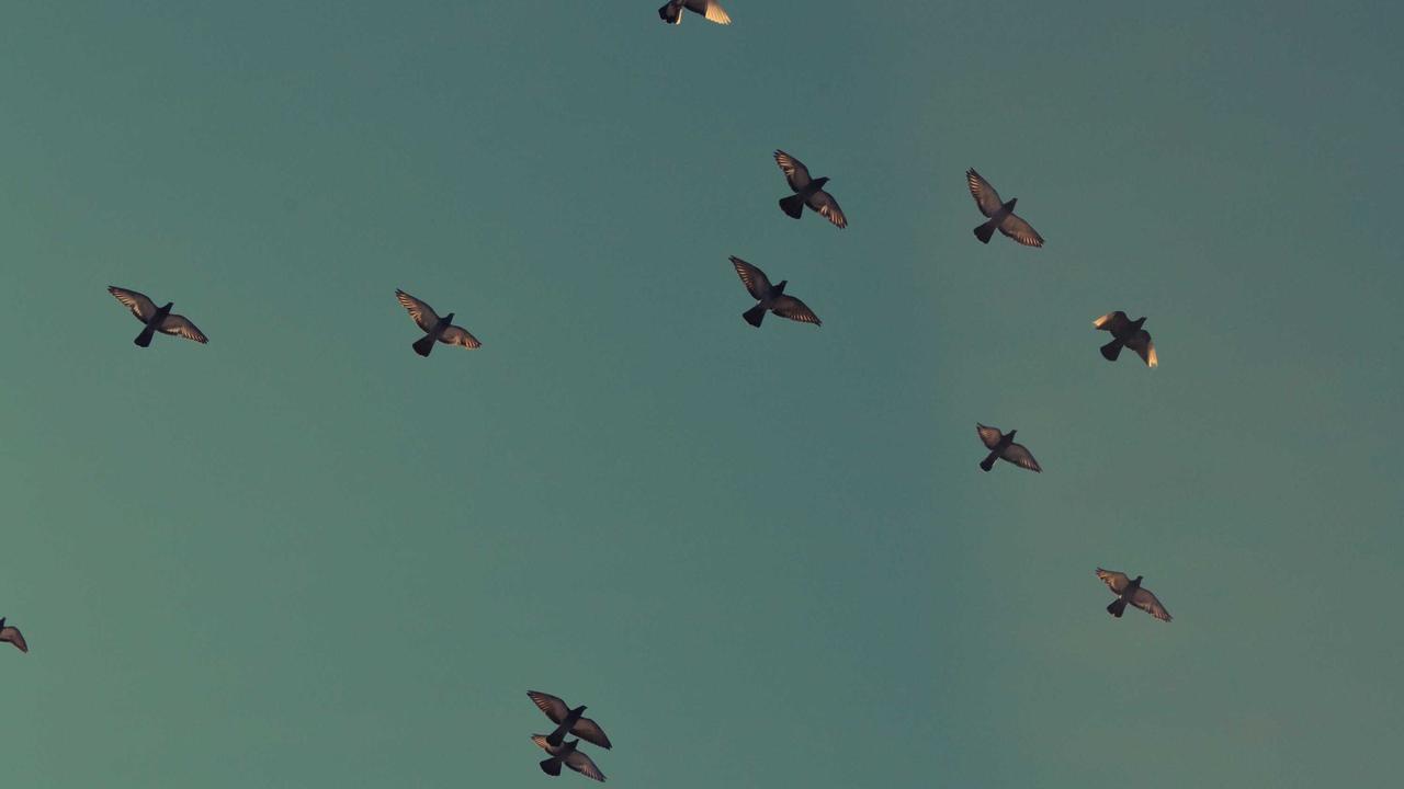 Phần 3: Đêm sương mù #4