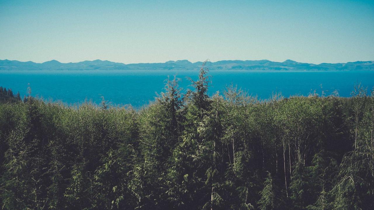 Phần 4: Bóng dáng quen thuộc #2